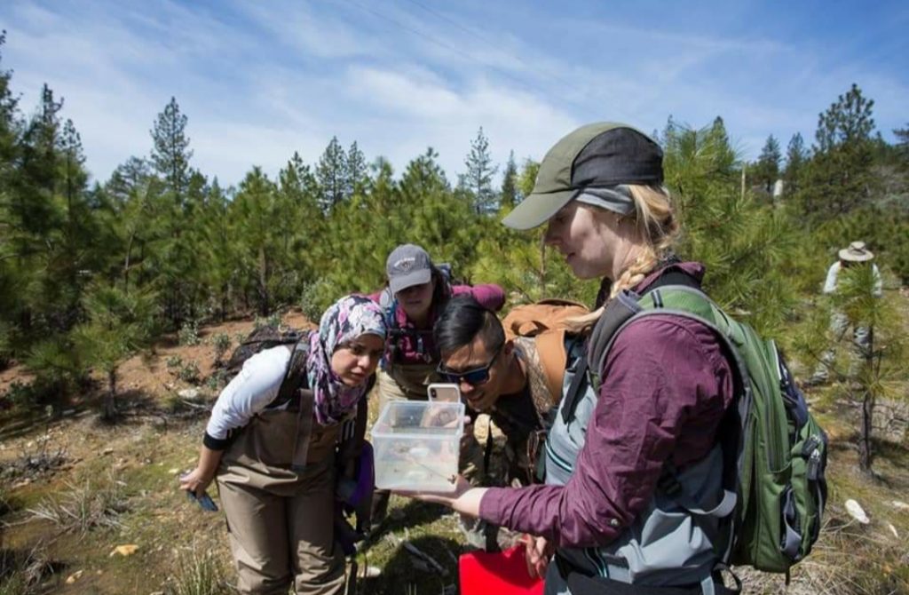 Professional workshops